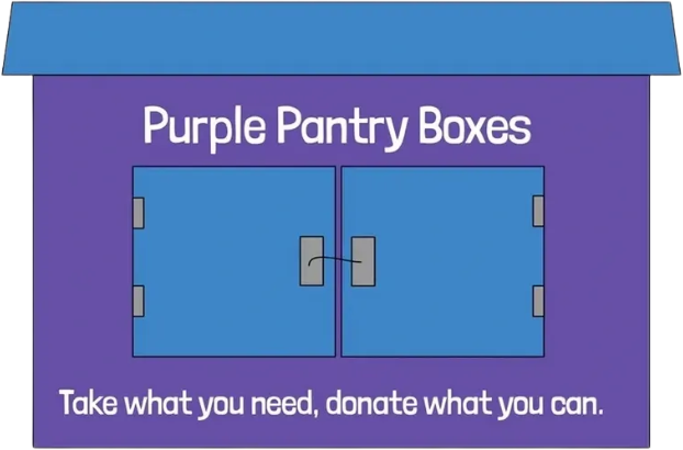 Purple Pantry Boxes